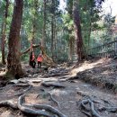 다산푸드 이미지