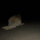 풍년슈퍼 이미지