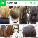 크리틴트 - 양산시 | 크리틴트