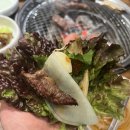 기고상회 이미지