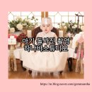 간선-82 | 아기 돌사진 촬영하기 | 남양주 돌사진스튜디오 | 하바나스튜디오