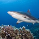 정화Care 이미지