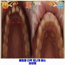 조은치과의원 | 통영시 광도면 인근 치과 참조은치과의원 ᕕ( ᐛ )ᕗ GO!!