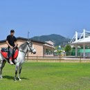 남해힐링랜드