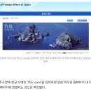 '독도.com' 입력하면 '다케시마'…한글 주소 日에 뺏겼다 이미지