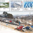 사임당부동산중개 이미지