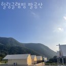 팔공산힐링 이미지