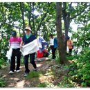 이월초등학교 이미지