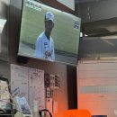 새동신상회