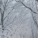예산-02 이미지