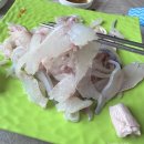 갈릴리회집 이미지