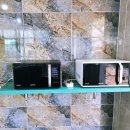 그린오토카 | 경주 아이와 가기 좋은 곳 추천 [경주 그린하우스 펜션 캠핑장]