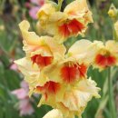 경상남도 수목원 이미지