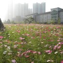 부경목욕탕 이미지