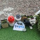 여주무인카페 별과도자기