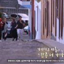 윤식당민박 이미지