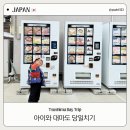 대아약국 | 아이와 대마도 히타카츠 당일치기 여행 코스 + 모르면 큰일 나는 꿀팁