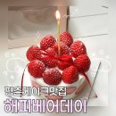 해피 홀쇼핑 | 평촌케이크맛집 주문 제작 케이크 레터링 해피베어데이 안양평촌점