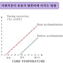 경희피레토한의원 이미지