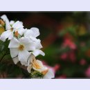 곡성-050 티스토리