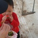 송주농장 이미지