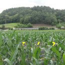 전재원공인중개사사무소 이미지