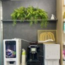 바른삼성약국 이미지