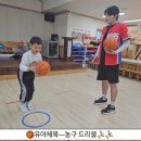 [유아체육]🏀 농구ㅡ드리블⛹️⛹️‍♂️ 이미지