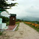 청일농협주유소 이미지