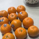 만다린 | 요즘 핫한 큐티스 만다린 귤 후기