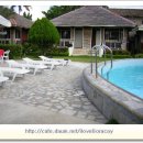 앨리스인원더랜드 이미지