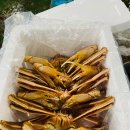 주식회사 대게킹 이미지