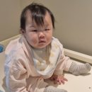 꼬마동네 어린이집 | [육아일기] 생후 881일~, 생후 223일~ : 멀리서 보면 희극일지도