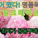 러브핑키