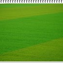 수안보생활체육공원 이미지