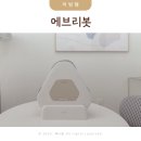 에브리 뽀송 | 물걸레로봇청소기 에브리봇 쓰리스핀슬림, 슬림하면서도 빠르고 강력한 바닥 청소 후기