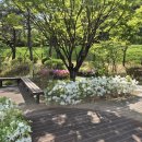 미소자이부동산중개 이미지