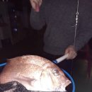 파도실내바다낚시터 이미지