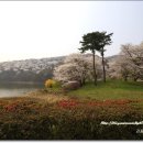 호암미술관 이미지