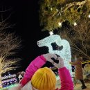 별빛공원 화장실 | 대구 2025 겨울 빛 축제 - 송해공원 별빛산타레이크