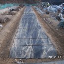 한일인삼 이미지