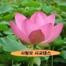 [♥사랑모/리듬댄스] 통합리듬짝, 춤방의 246은 살아있다... 이미지