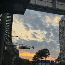 고피자노량진점 - 14454 | 떠난다는 건 좋으면서도 슬픈 일상