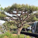 뒷동산농원 이미지