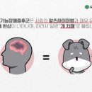 문정힐스동물병원 이미지