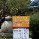 초석잠상황버섯삼계탕 이미지