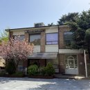 아로하치킨 | 의정부 워터파티룸 추천 : 아로하 포레스트/ 5시간 워터파티룸 대여 후기