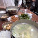 무교동북어국집 | 을지로 시청 해장 맛집 건더기 리필이 가능한 ‘무교동북어국집’ 웨이팅 후기