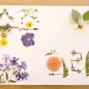 압화만들기 이미지