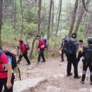 대구시달성군유가면,옥포면,가창면 비슬산(1083.6m) 이미지